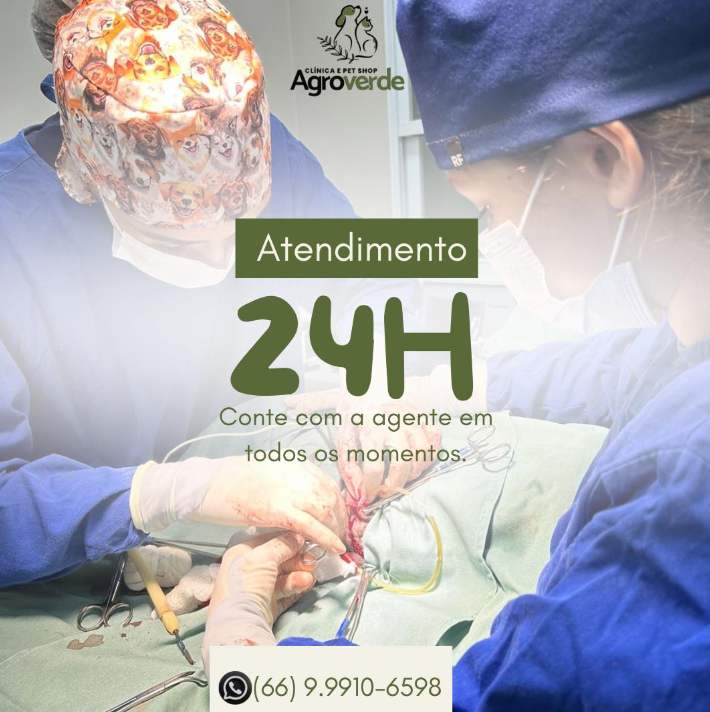 foto de ATENDIMENTO VETERINÁRIO 24 HORAS