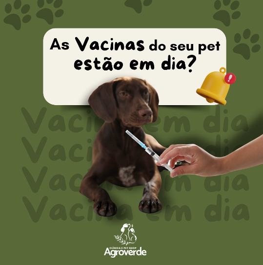 foto de AS VACINAS DO SEU PET ESTÃO EM DIA?