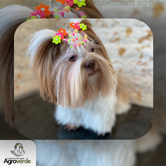 foto de MUITO CAPRICHO NESSE PENTEADO