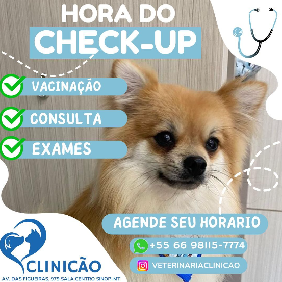 foto de AGENDE O CHECK-UP DO SEU PET