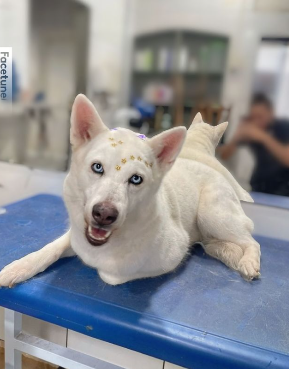 foto de ONTEM FOI O DIA DE SPA PARA A DORINHA!