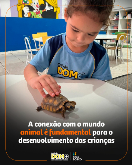 foto de CONEXÃO COM O MUNDO ANIMAL