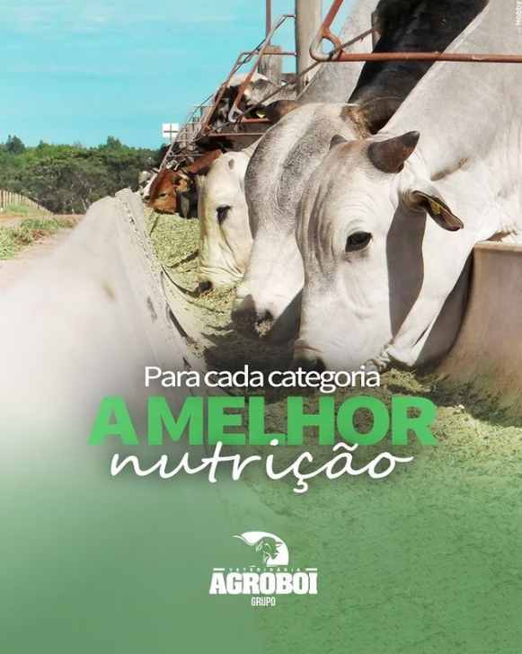 foto de PARA CADA CATEGORIA A MELHOR NUTRIÇÃO!