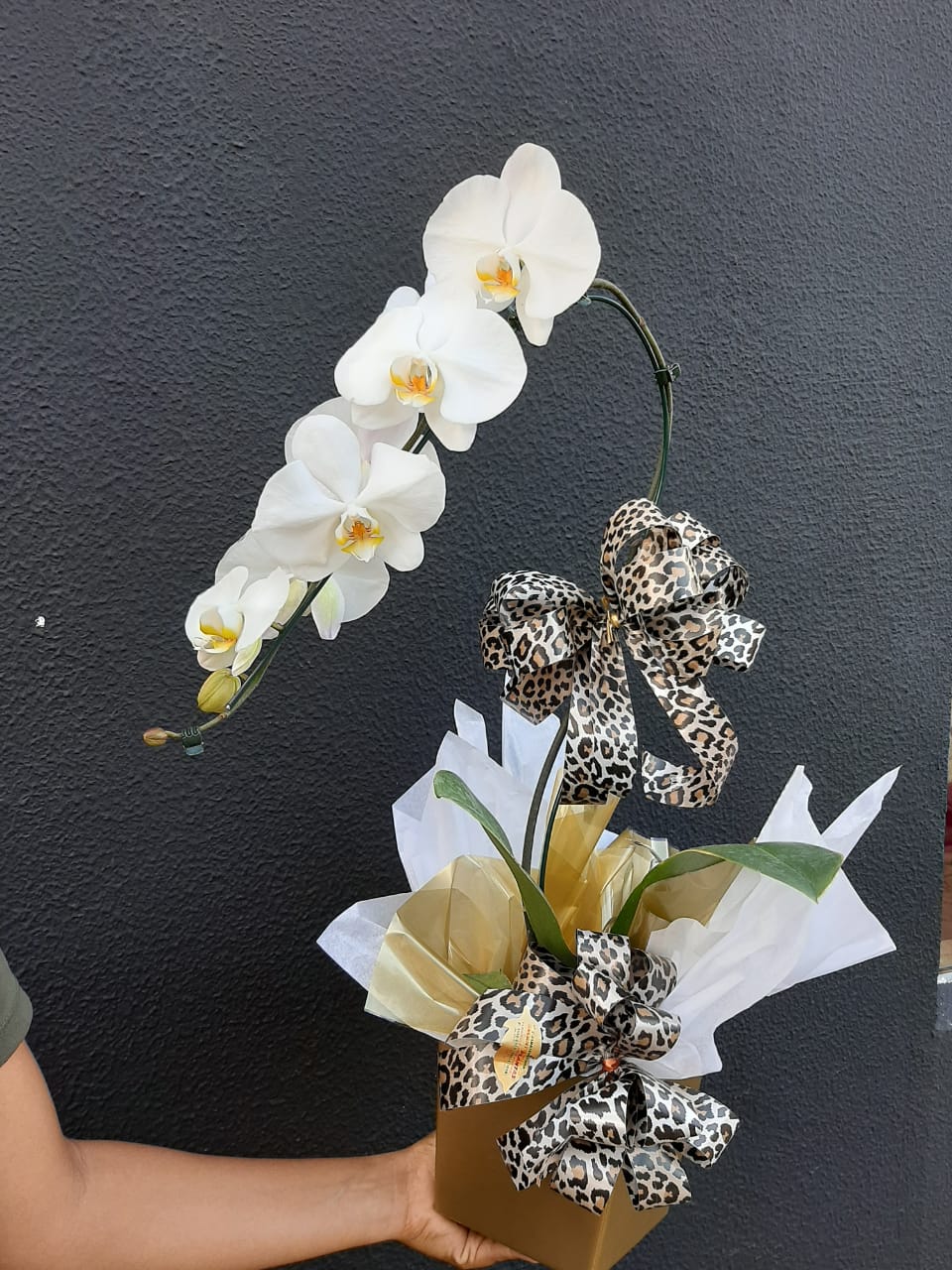 foto de Arranjo de Orquídeas!