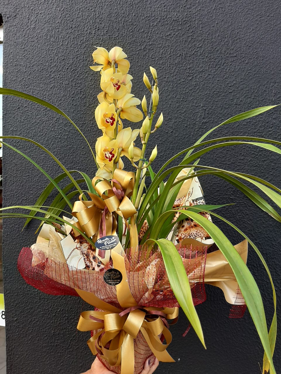 foto de Variedades em Orquídeas para presente