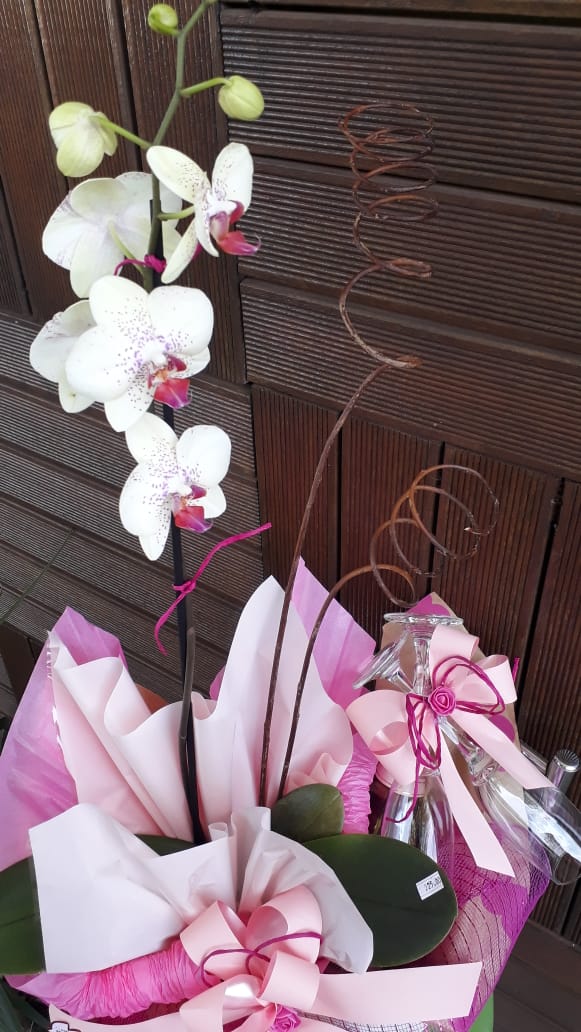foto de Orquídeas