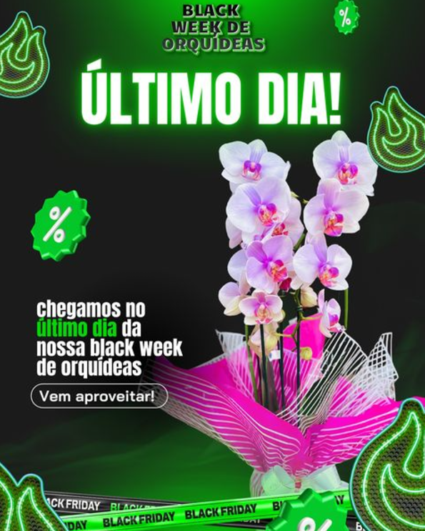 foto de BLACK WEEK DE ORQUÍDEAS