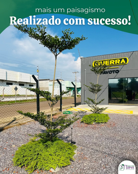 foto de PAISAGISMO REALIZADO COM SUCESSO