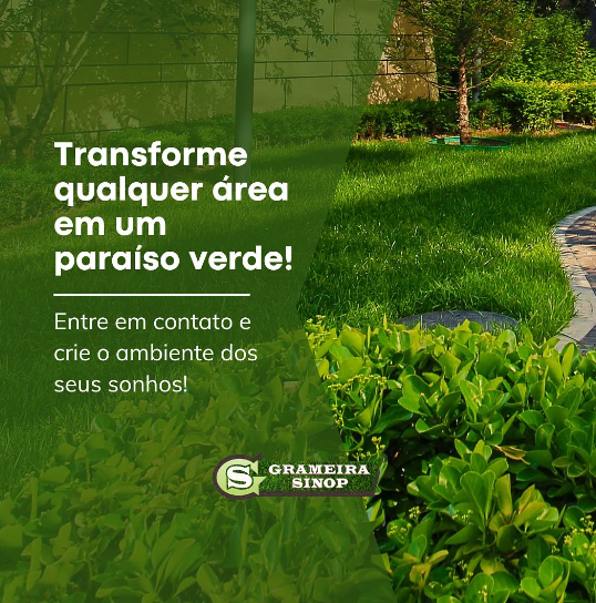 foto de TRANSFORME QUALQUER ÁREA EM UM PARAÍSO VERDE