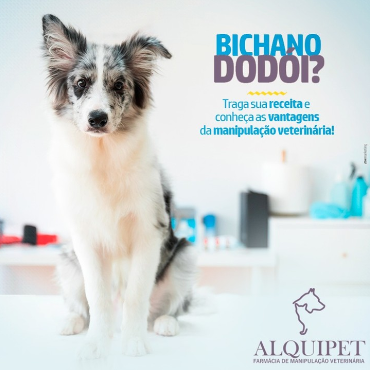 foto de BICHANO DODÓI?