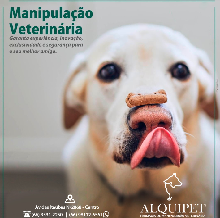 foto de VOCÊ SABE QUAIS SÃO AS VANTAGENS DA MANIPULAÇÃO VETERINÁRIA?