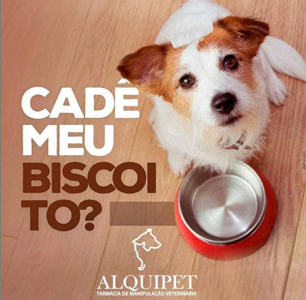 foto de Alquipet