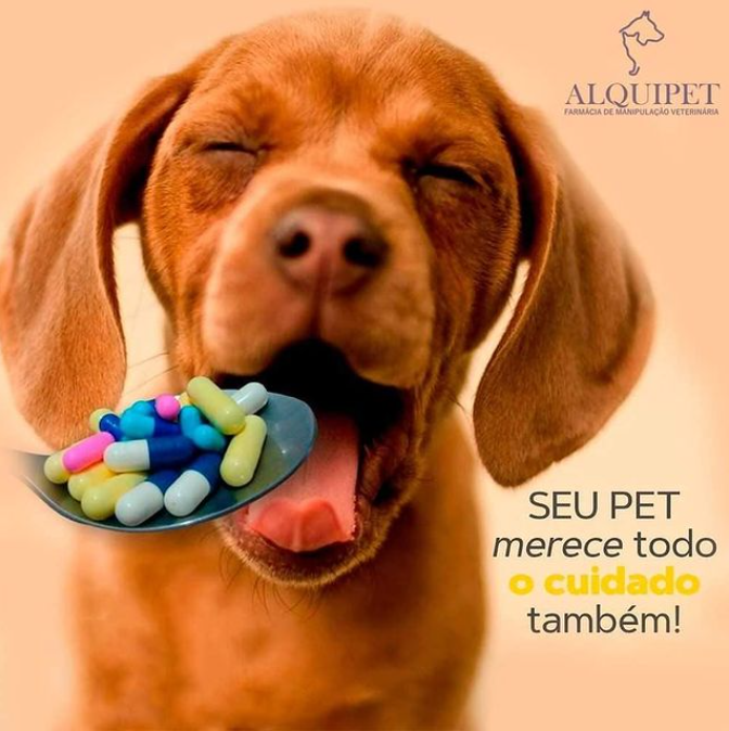 foto de Alquimia também manipula medicamentos para o seu pet!