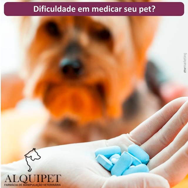 foto de MEDICAMENTOS PARA SEU PET