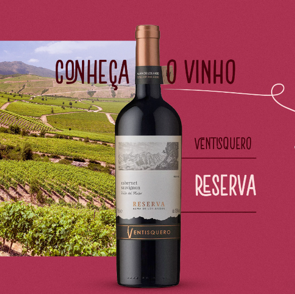 foto de CONHEÇA O VINHO VENTISQUERO