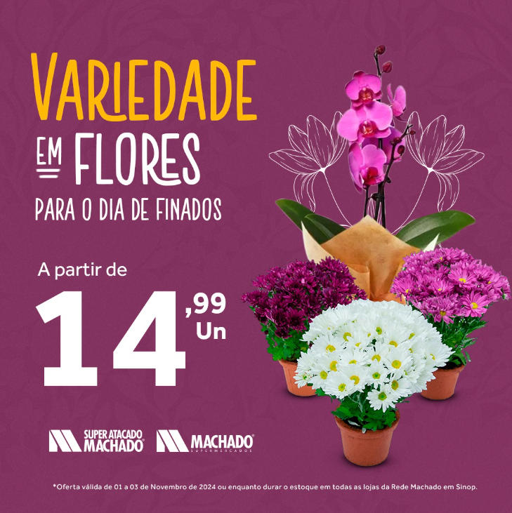 foto de VARIEDADE EM FLORES PARA O DIA DE FINADOS