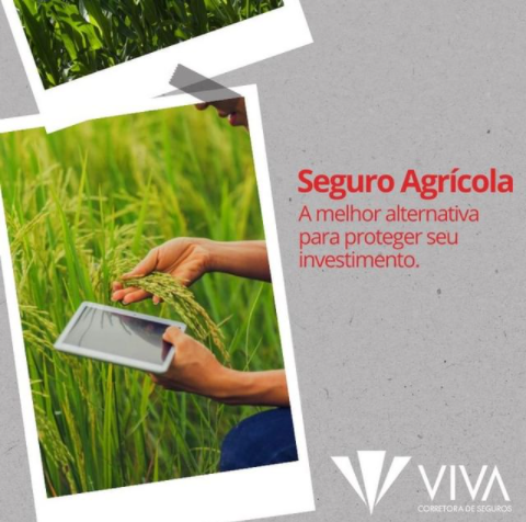 foto de Seguro Agrícola